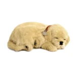 Perfect Petzzz - Golden Retriever