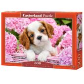 Pup in Pink Flowers - 500 pcs