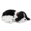 Perfect Petzzz - Cocker Spaniel