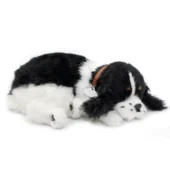 Perfect Petzzz - Cocker Spaniel