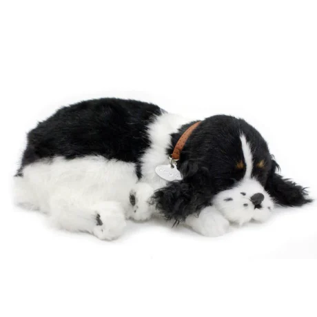 Perfect Petzzz - Cocker Spaniel