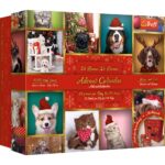 Advent Calendar Animals